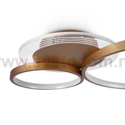 Потолочный светильник Freya FR10014CL-L63G Crate