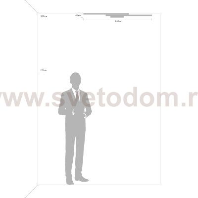 Потолочный светильник Freya FR10021CL-L66W Majari