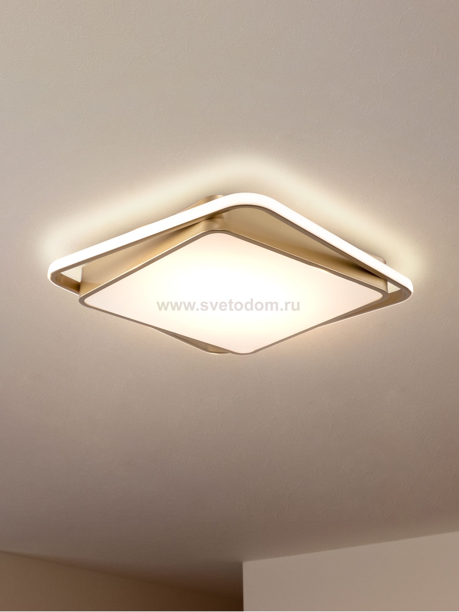 Потолочный светильник Freya FR10026CL-L93G Yaku