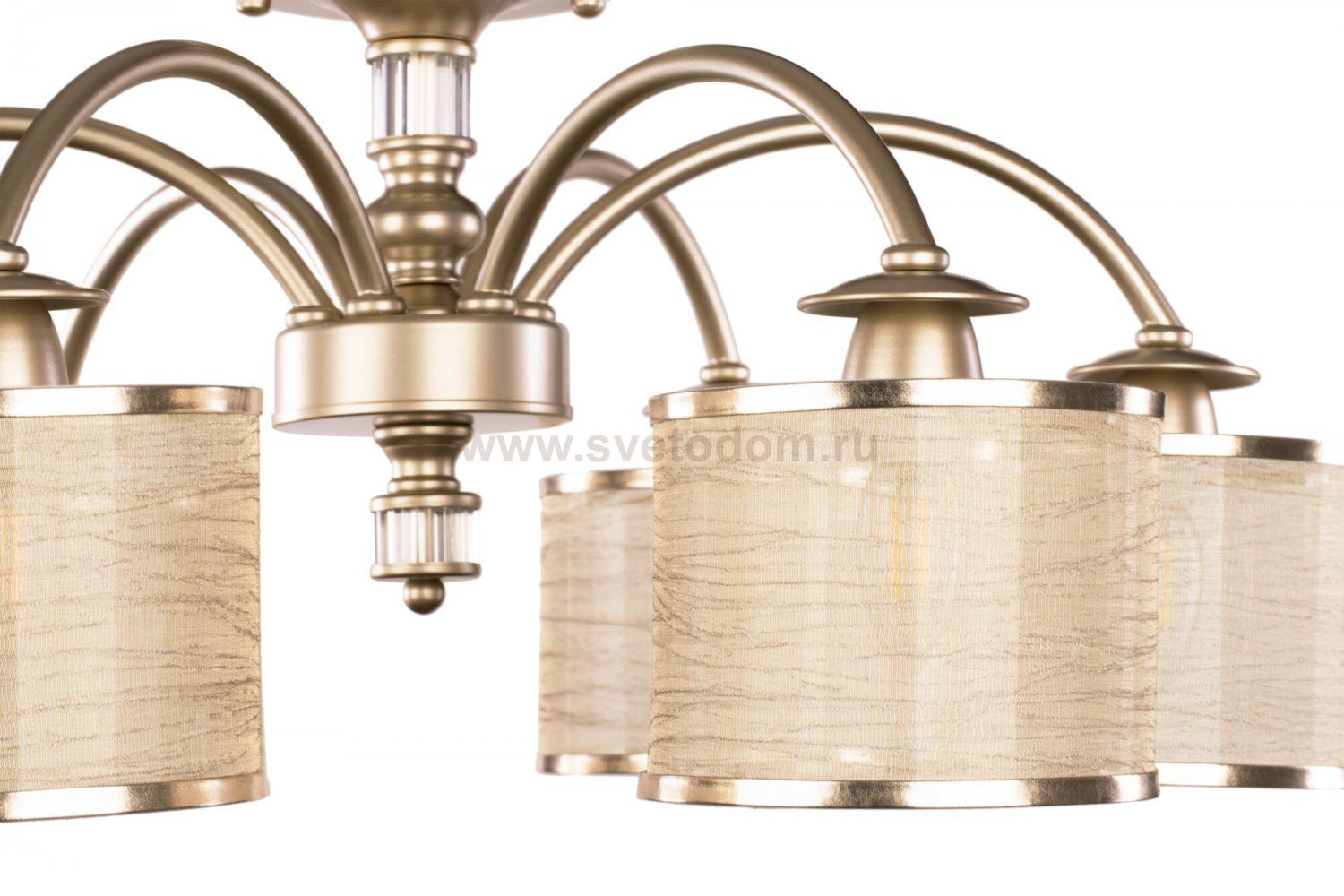 Потолочный светильник Freya FR2539CL-06G Ksenia