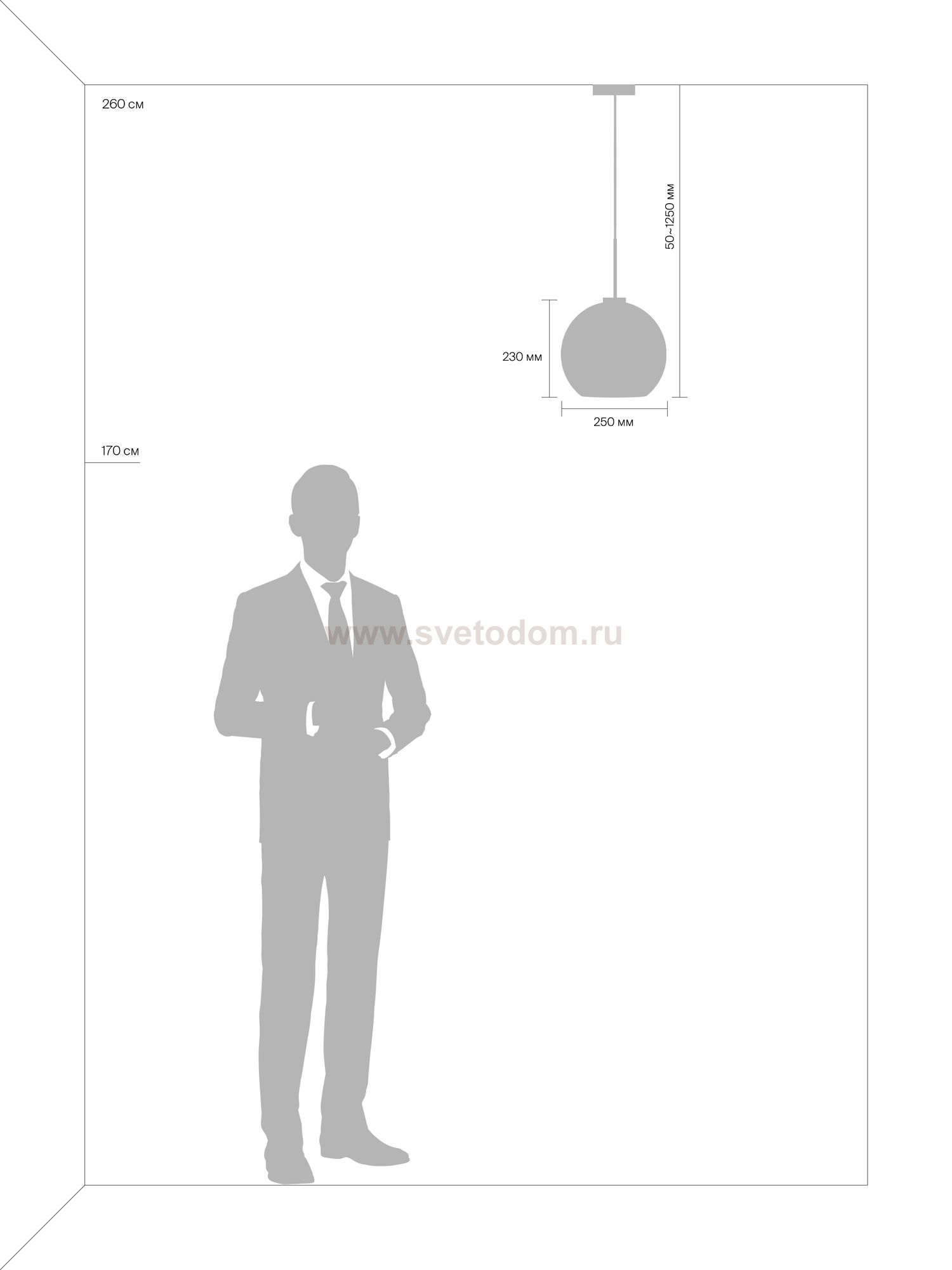 Подвесной светильник Freya FR8003PL-01B Bravis