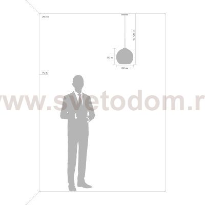 Подвесной светильник Freya FR8003PL-01B Bravis