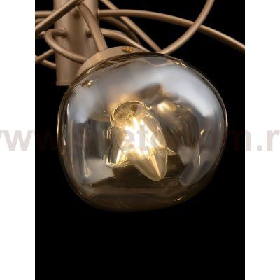 Светильник Freya FR8017PL-10MG 