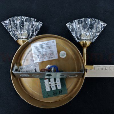 Настенный светильник G49903/2wBRS Gerhort