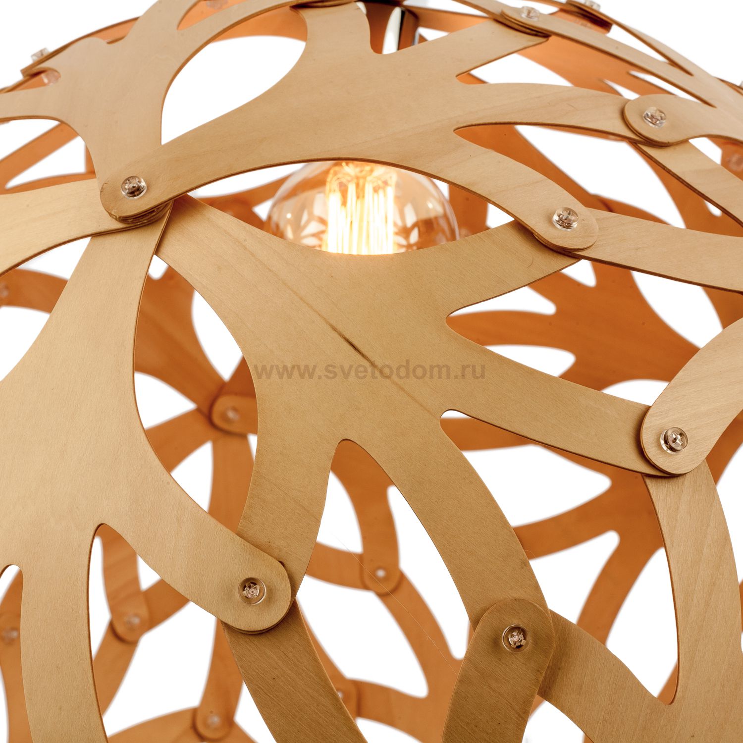 Светильник Экономсвет G51067/1