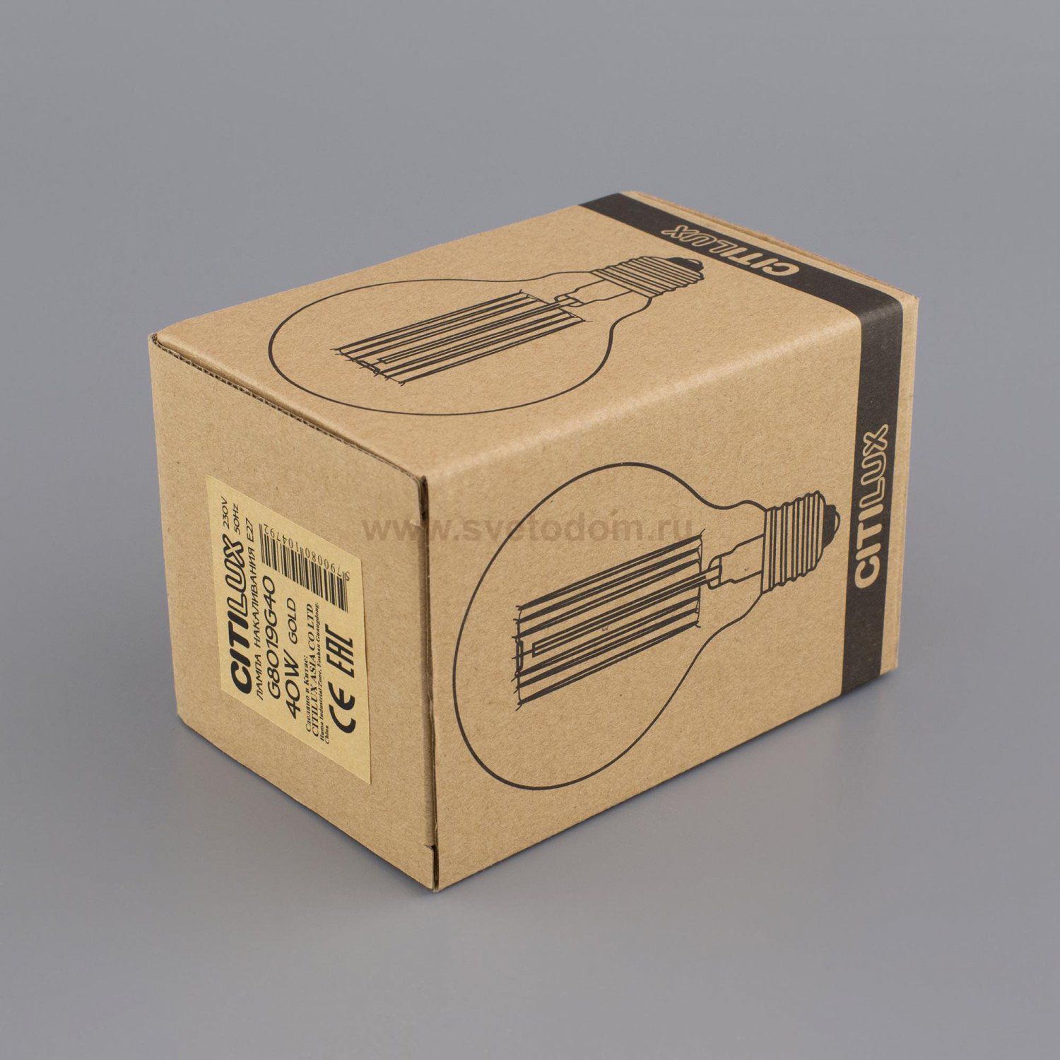 Ретро лампа освещения Citilux G80-19FL