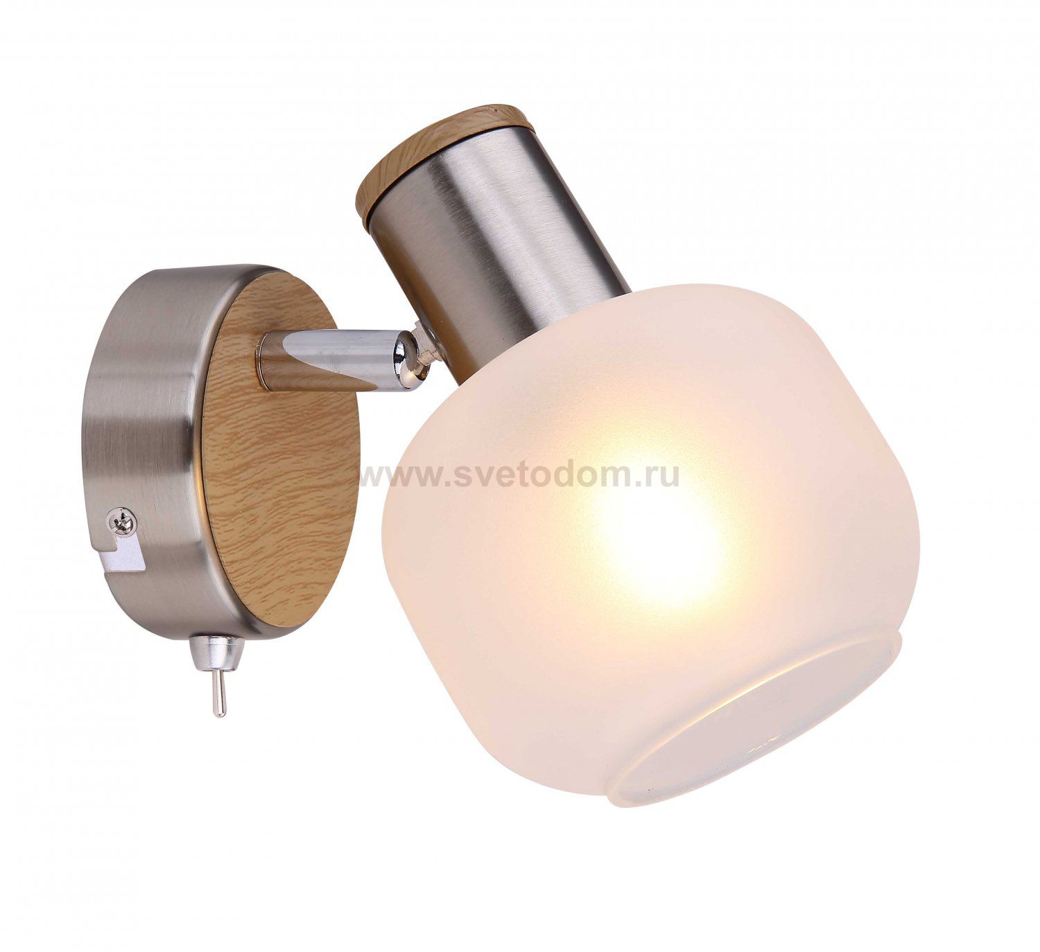 Светильник Globo 54302-1