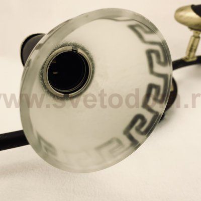 Светильник спот двойной Globo 5449-2 Novara