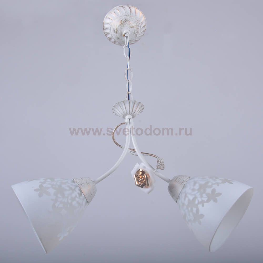 Потолочный светильник HIPER H136-2 2*E27*60Вт WHITE GOLD MODERN
