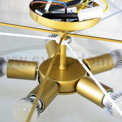 Потолочный светильник Maytoni H223-PL-05-G Messina