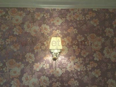 Светильник настенный бра Odeon light 2686/1W PADMA