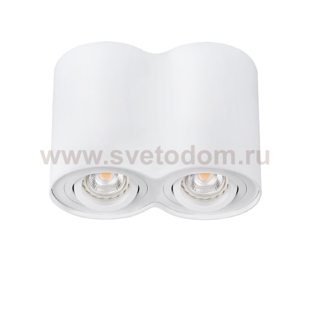 Точечный накладной светильник Kanlux BORD DLP-250-W (22554)