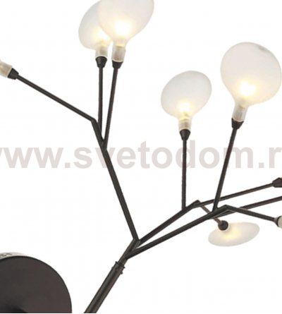 Kink Light 07521-9,19(21) Настенный светильник Ветта черный (прозрачные плафоны) d42 h38 G4 9*2W (Led лампы в комплекте, 4000K)