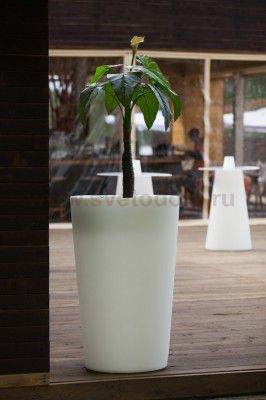 Кашпо RGB 220В СONE 545х720х1100 мм