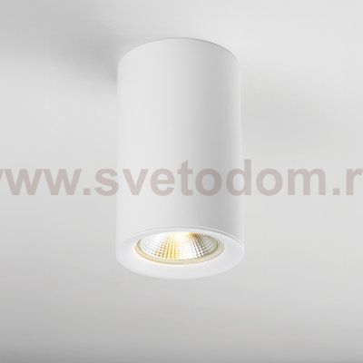 Накладка торцевая на светильник RULLO dia 60 mm Rullo Lightstar 204436