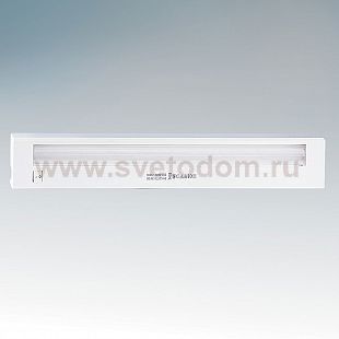 Светильник Lightstar 311132 TL2005