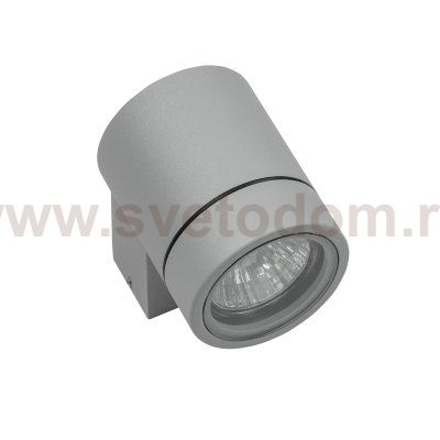 Светильник уличный настенный Lightstar 350609 Paro