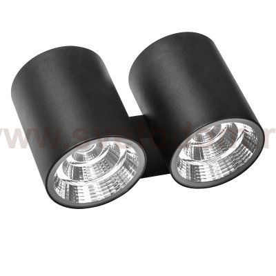 Светильник светодиодный уличный настенный Lightstar 372572 Paro