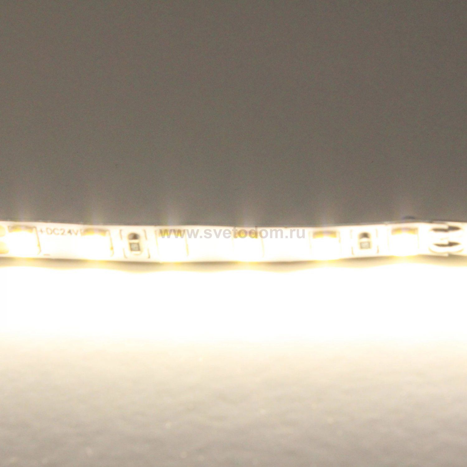 Лента нейтрального белого свечения 24V Lightstar Lightstar 420504
