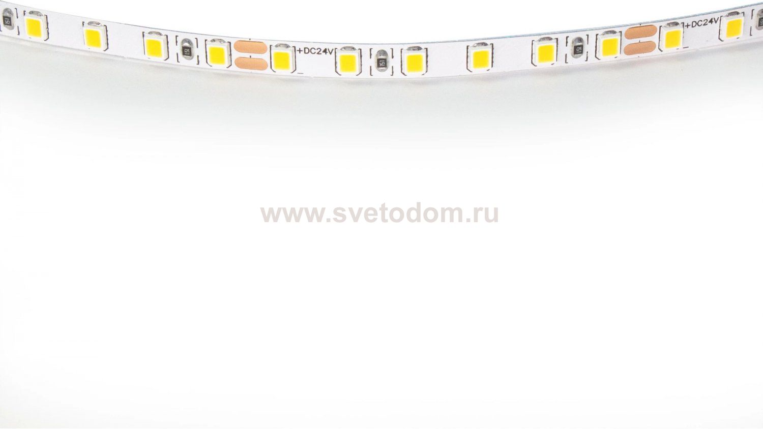 Лента цветного свечения 24V, синий Lightstar Lightstar 420515