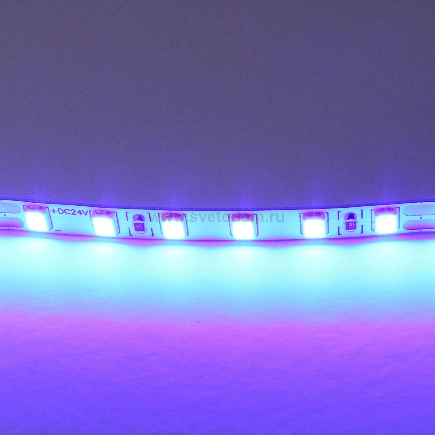 Лента цветного свечения 24V, синий Lightstar Lightstar 420515