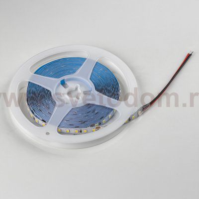 Лента холодного белого свечения 24V Lightstar Lightstar 420805