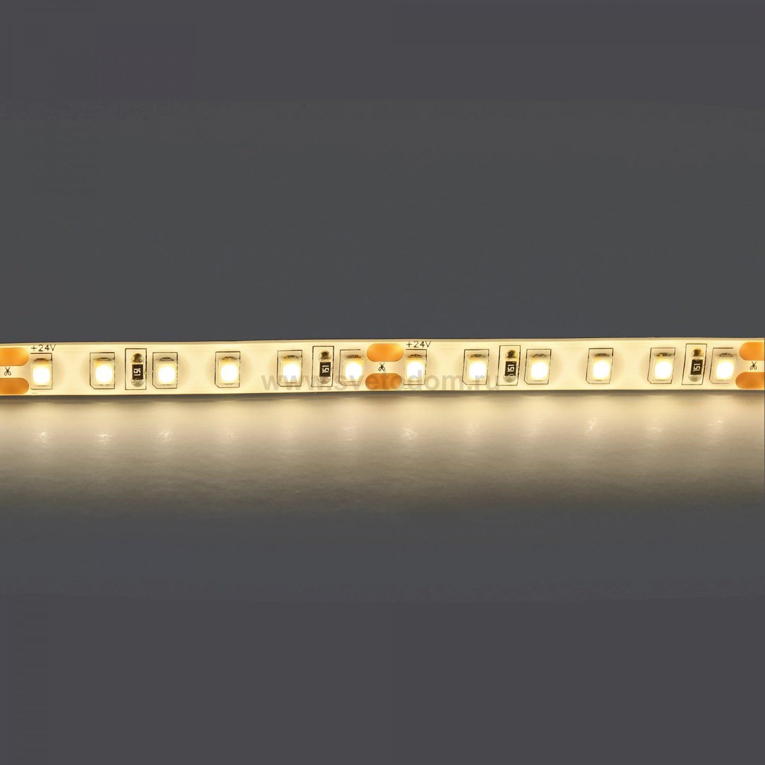 Лента белого свечения 24V Lightstar Lightstar 421004