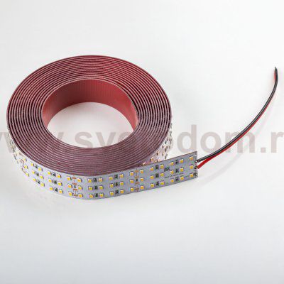Лента теплого белого свечения 24V Lightstar Lightstar 423003