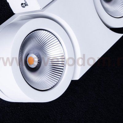 Светильник точечный накладной диодный Lightstar 55264 Snodo