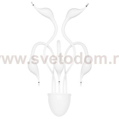 Светильник бра Lightstar 751656 Cigno Collo