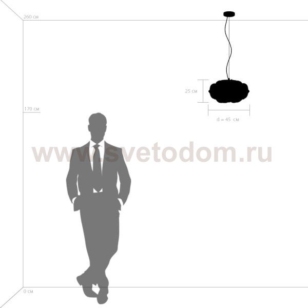 Подвес Erbareo Lightstar 799030