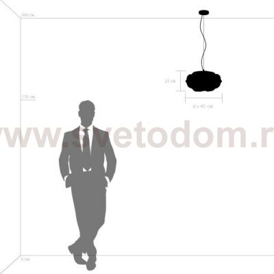 Подвес Erbareo Lightstar 799030