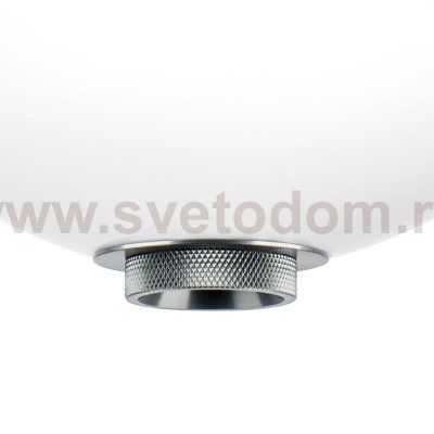 Подвес Colore Lightstar 805401