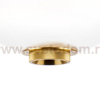 Подвес Colore Lightstar 805403