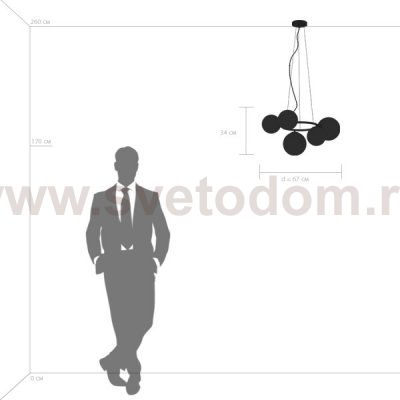 Подвес Globo Lightstar 815051