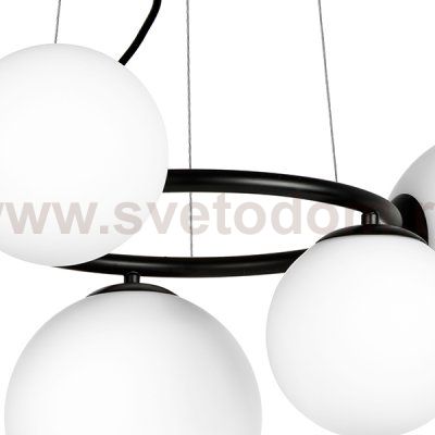 Подвес Globo Lightstar 815057