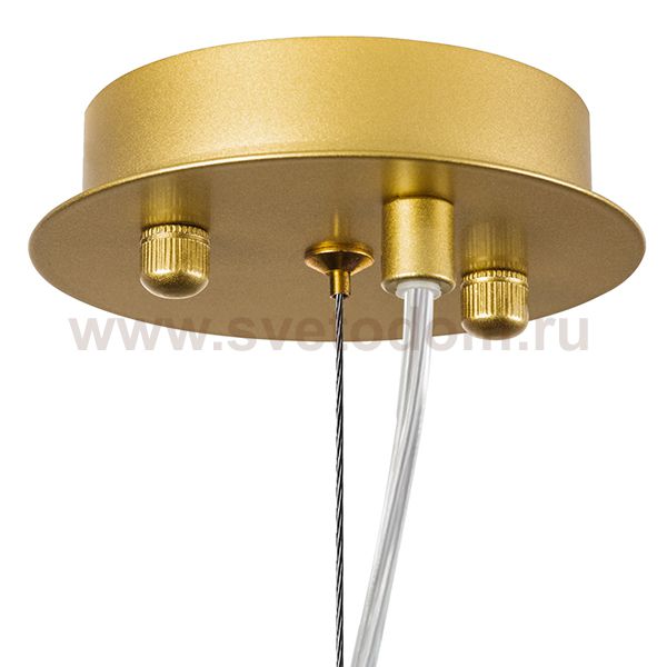 Подвес Savona Lightstar 816022