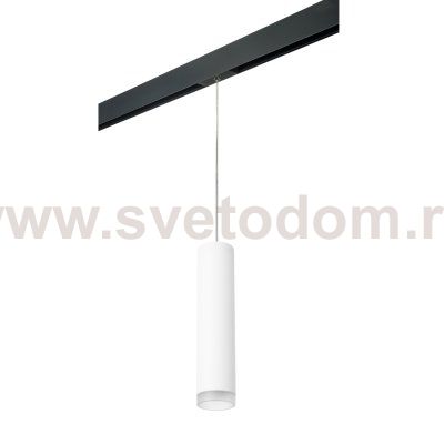 Комплект со светильником Rullo для трека PRO Rullo Lightstar PRORP49630