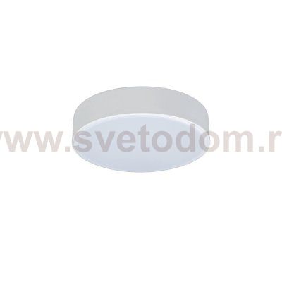 Потолочный светильник Loft it 10002/12 White Axel