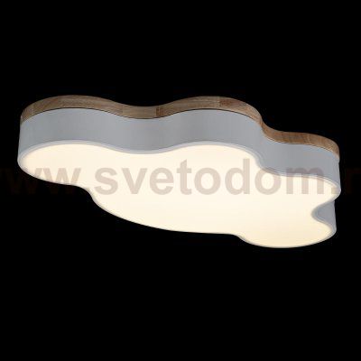 Потолочный светильник Loft it 10005/36 White Axel
