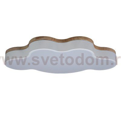 Потолочный светильник Loft it 10005/36 White Axel