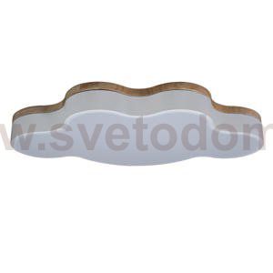 Потолочный светильник Loft it 10005/36 White Axel