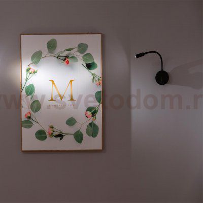 Светильник настенный бра Loft it 10010BK Stick