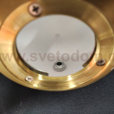 Светильник настенный бра с выключателем Loft it 10029W Gold Signal