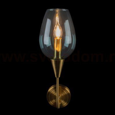 Светильник настенный бра Loft it 10042/1W Viola