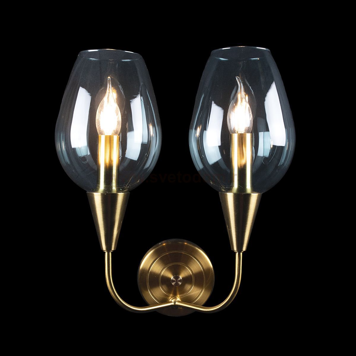 Светильник настенный бра Loft it 10042/2W Viola