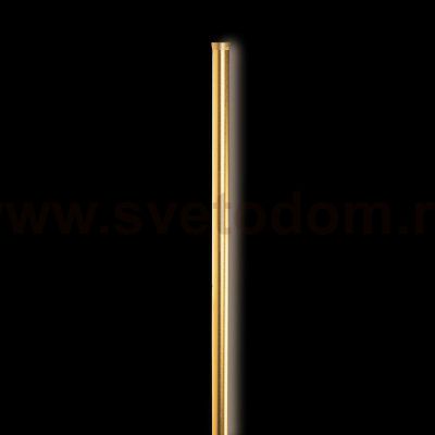 Настенный светильник бра Loft it 10054GD Rays