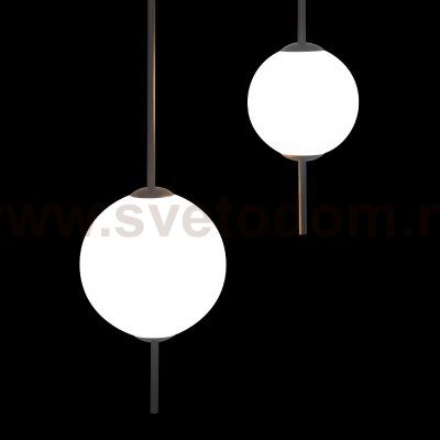 Подвесные светильники Loft it 10116/2 Currant