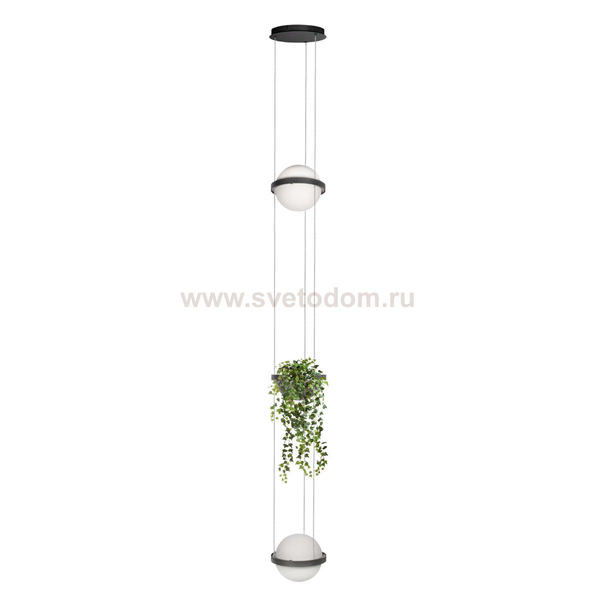 10121/2P Dark grey Подвесной светильник LOFT IT Jardin