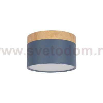 Накладные светильники Loft it 10162 Blue Grape